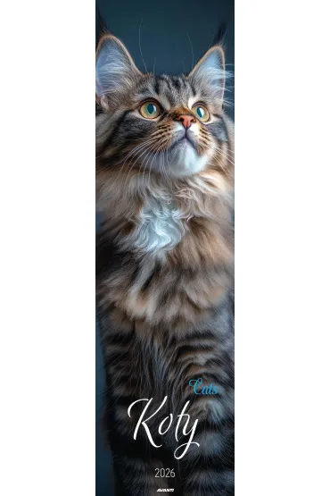 Kalendarz 2026 ścienny paskowy 13x46cm Koty