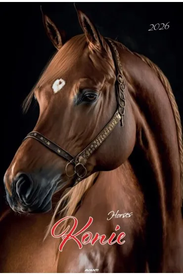 Kalendarz 2026 ścienny A3 Konie