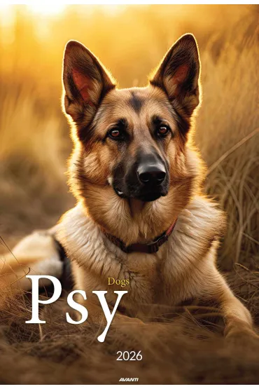 Kalendarz 2026 ścienny A3 Psy