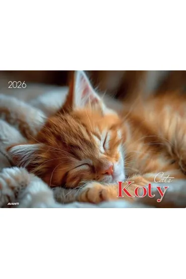 Kalendarz 2026 ścienny albumowy 28,5x20cm Koty