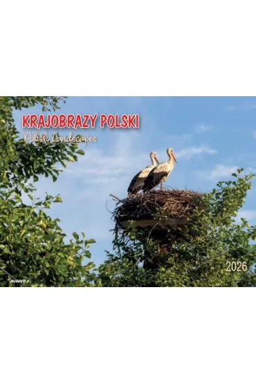 Kalendarz 2026 ścienny album. 28,5x20cm Krajobrazy