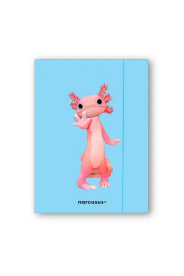 Teczka A4+ z gumką Teddies&Aksolotl