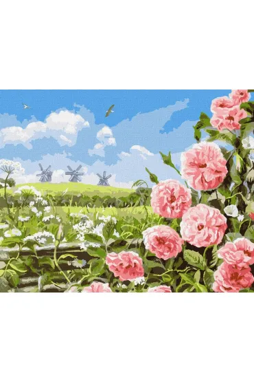 Malowanie po numerach - Delikatność pól