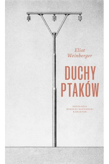 Duchy ptaków