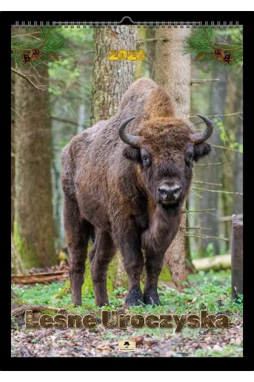 Kalendarz 2026 A2 ścienny jednostronny uroczyska