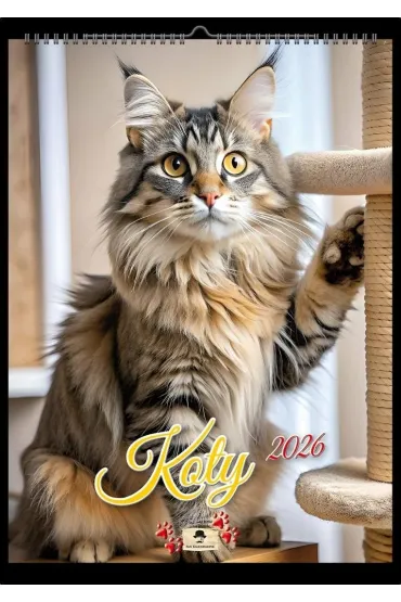 Kalendarz 2026 A4 ścienny na spirali koty
