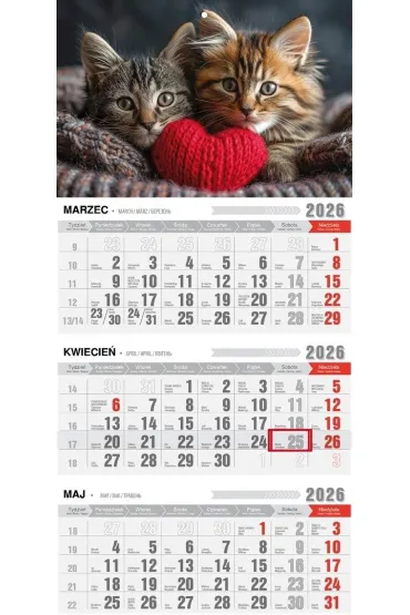 Kalendarz 2026 trójdzielny ekonomiczny kotki