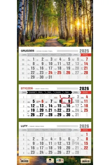 Kalendarz 2026 trójdzielny płaska główka las