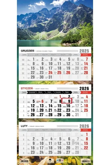 Kalendarz 2026 trójdzielny płaska główka morskie