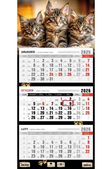 Kalendarz 2026 trójdzielny płaska główka kotki