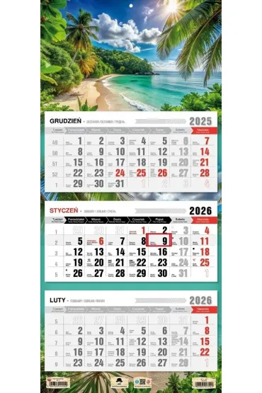 Kalendarz 2026 trójdzielny płaska główka tropiki