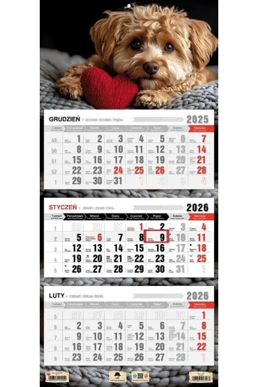 Kalendarz 2026 trójdzielny płaska główka piesek