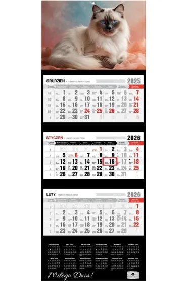Kalendarz 2026 trójdzielny premium kot