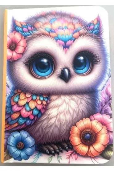 Notatnik ozdobny A7/48K gładki TW Sówka