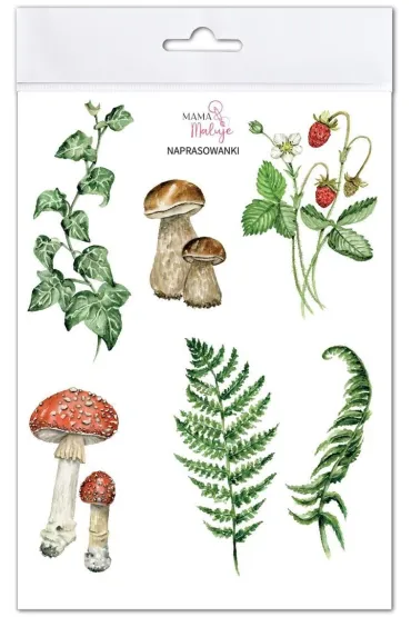 Naprasowanki Przyroda w lesie