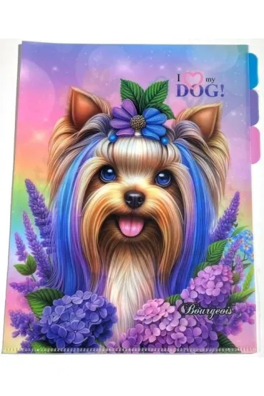 Teczka A4+ plastik 3 przegródki koszulka L Piesek