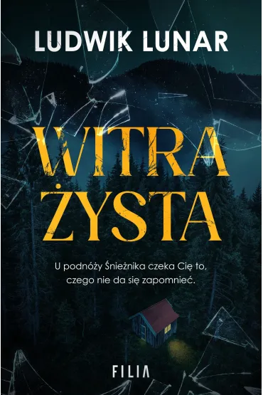 Witrażysta
