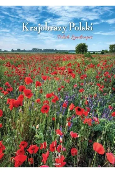 Kalendarz 2026 ścienny Krajobrazy Polski