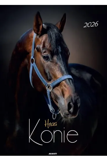 Kalendarz 2026 ścienny Konie