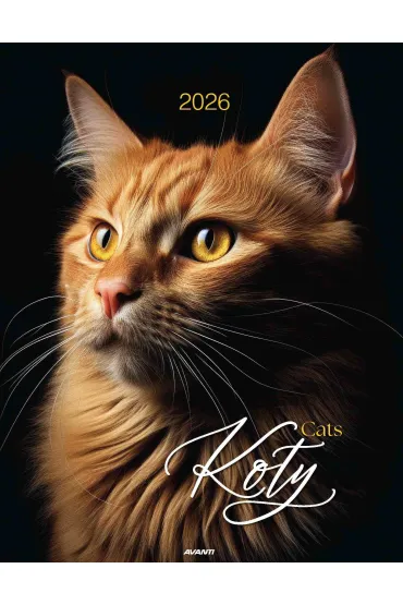 Kalendarz 2026 ścienny Koty