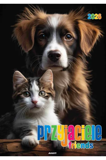 Kalendarz 2026 ścienny Przyjaciele