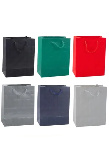 Torebka prezentpwa 23x18x10,5cm MIX