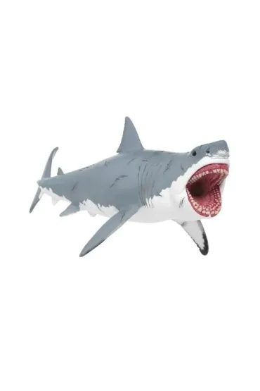 Megalodon