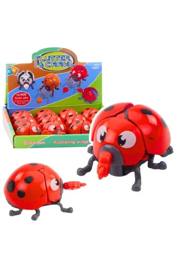 Biedronka nakręcana