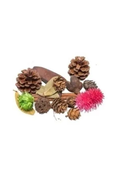 Susz dekoracyjny 30g