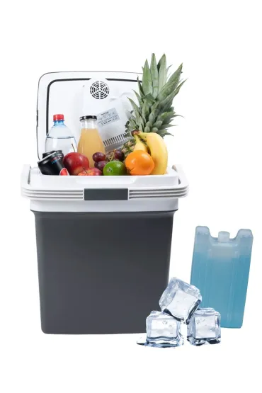 Lodówka turystyczna przenośna samochodowa 29L 220-240V DC12V funkcja grzania wkład gratis grafitowa