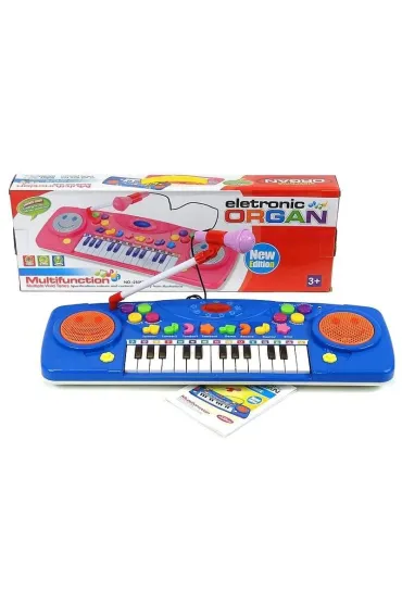 Organki 25 klawiszy z mikrofonem