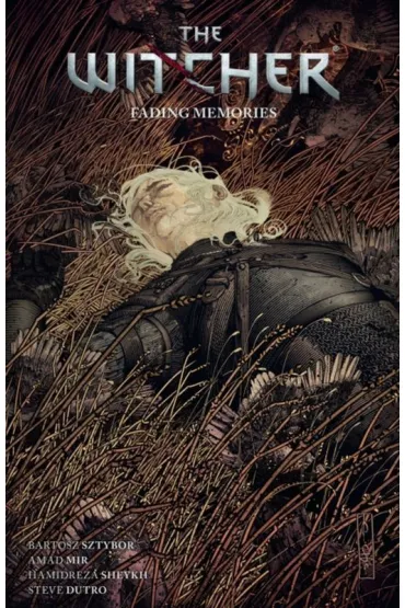 The Witcher Volume 5: Fading Memories