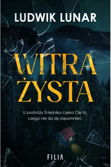 Witrażysta
