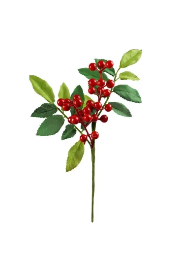 Zimowa gałązka z jagodami