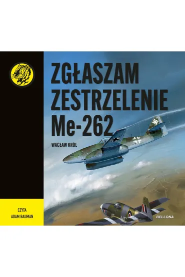 Zgłaszam zestrzelenie Me 262