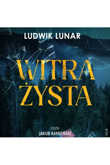 Witrażysta