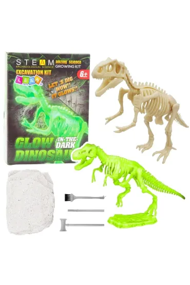 Wykopaliska fluorescencyjne szkielet i narzędzia