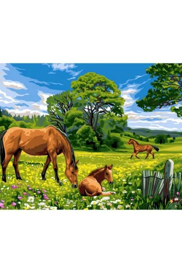 Malowanie po numerach - Konie na łące