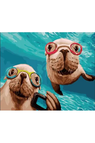 Malowanie po numerach - Foki