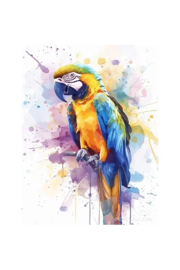Malowanie po numerach - Papuga
