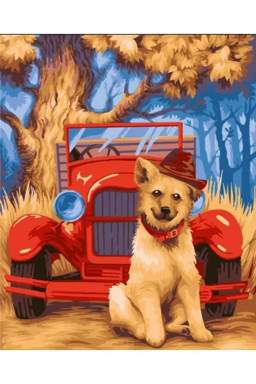 Malowanie po numerach - Piesek w kapeluszu