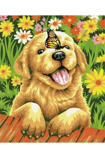 Malowanie po numerach - Piesek z motylem