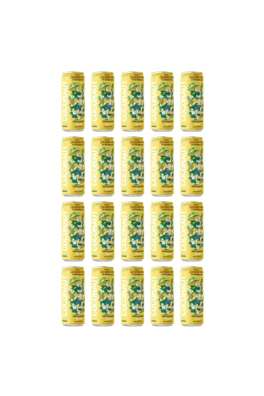 Woda kokosowa z młodego kokosa z sokiem ananasowym zestaw