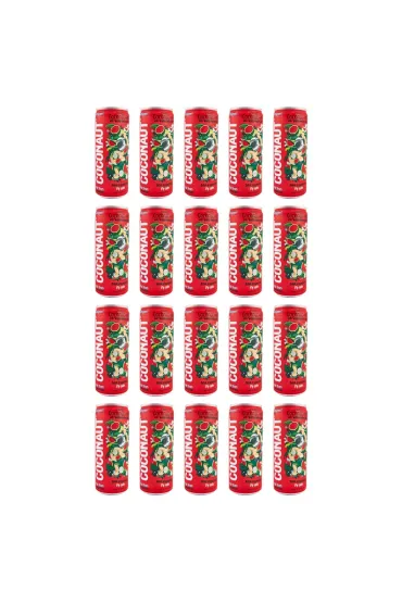 Woda kokosowa z młodego kokosa z sokiem arbuzowym zestaw