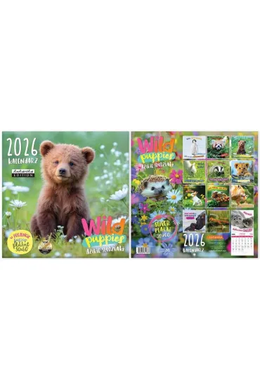 Kalendarz 2026 ścienny Classic Wild Puppies