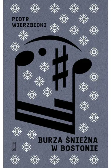 Burza śnieżna w Bostonie