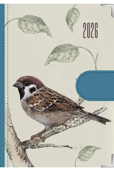 Kalendarz 2026 dzienny Natura Ptaki