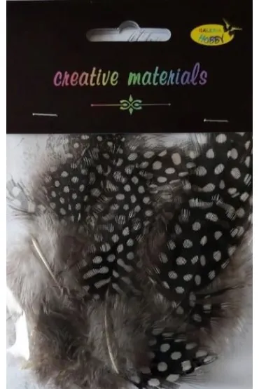 Pióra perliczek 10-15 cm 15 szt