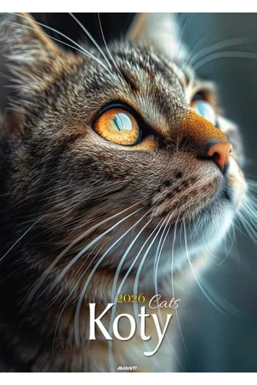 Kalendarz 2026 ścienny Koty