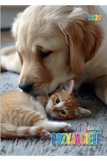 Kalendarz 2026 ścienny Przyjaciele